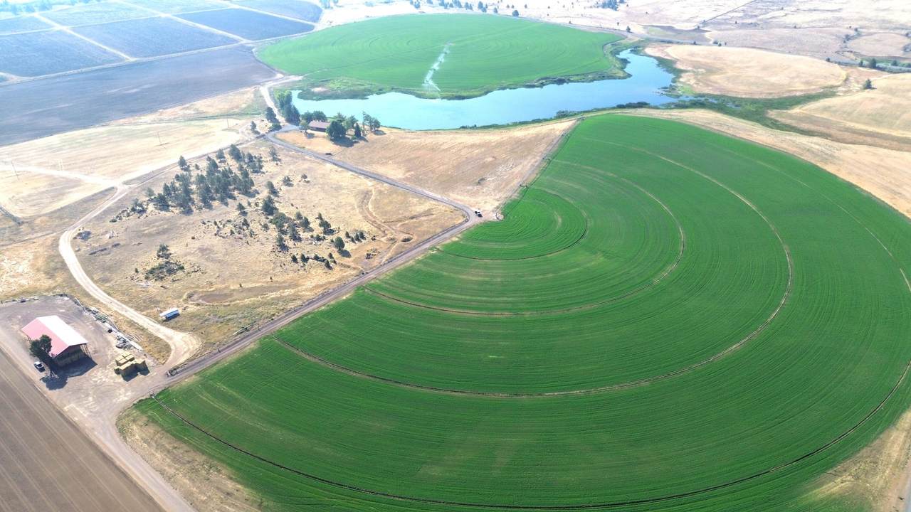 540-090 Little Valley Road - Photo 1