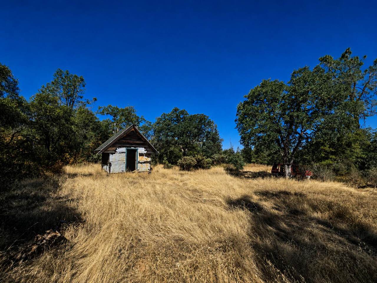 27010 Lack Creek Drive - Photo 1
