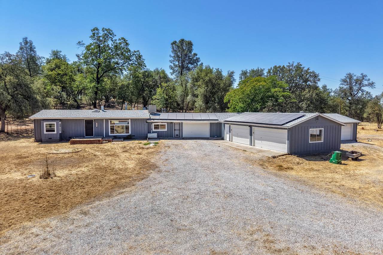13613 Jaybird Way - Photo 1