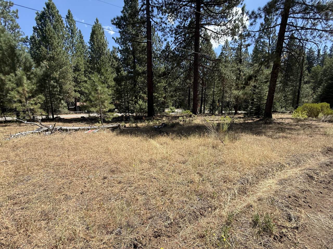 https://bt-photos.global.ssl.fastly.net/shasta/1280_boomver_1_26-3854-2.jpg