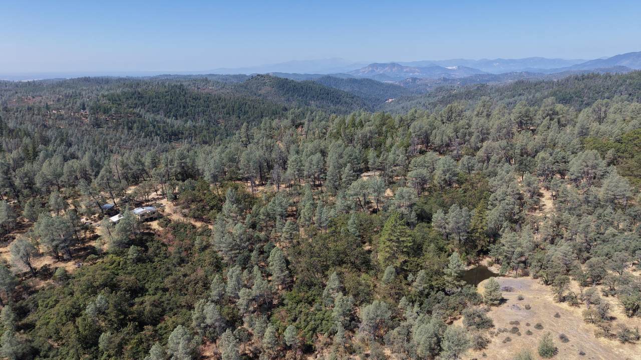 93.57 Acre Backbone Road - Photo 1