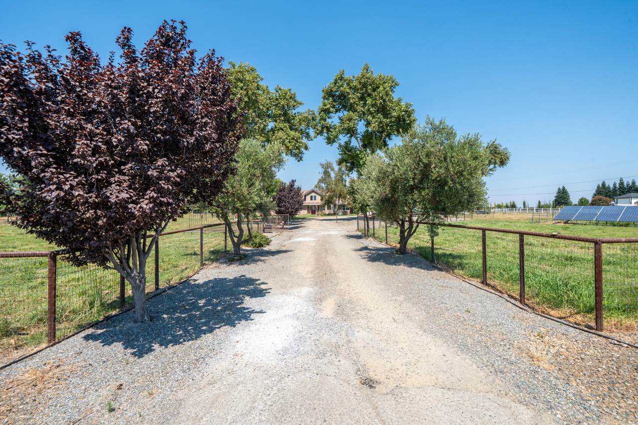 22058 Lone Tree Road - Photo 1