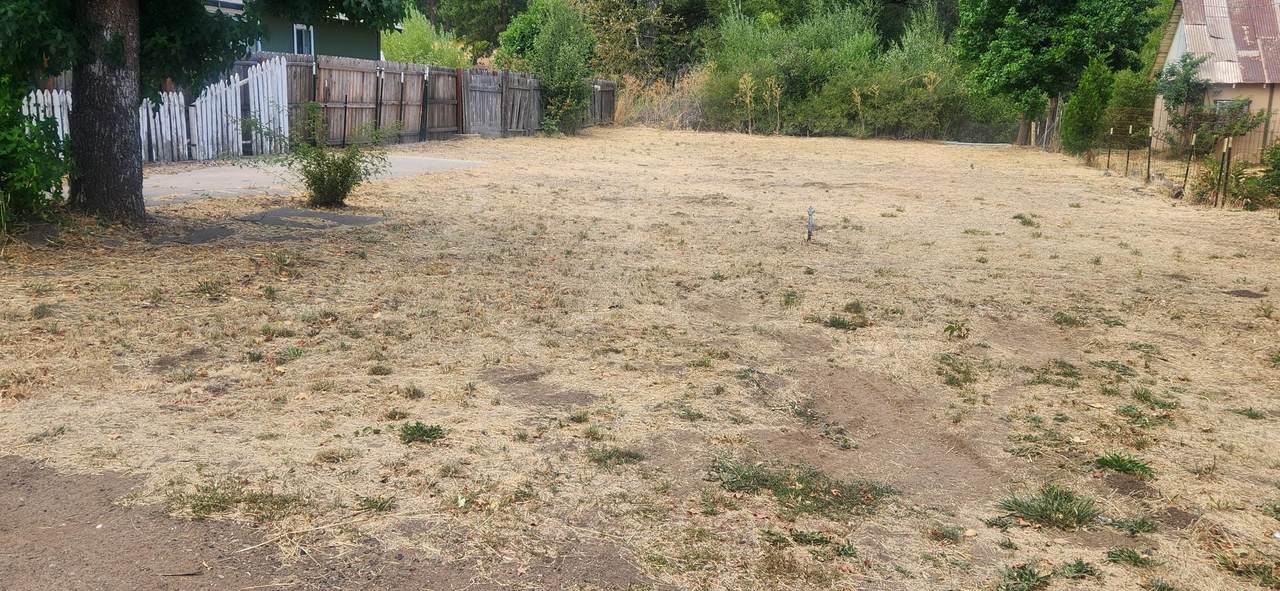 20438 Shasta Street - Photo 1