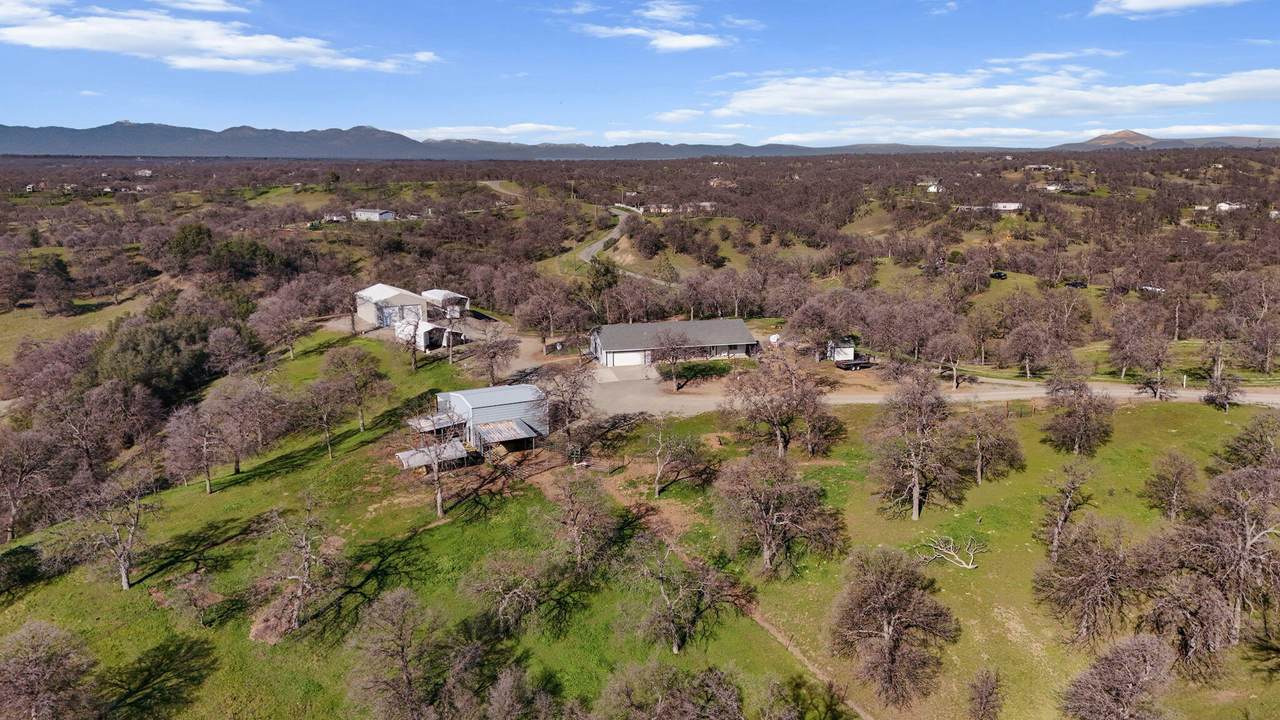 15857 Bolo Court - Photo 1