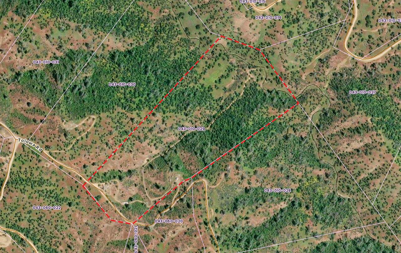 215 Tolowa Rd - Photo 1