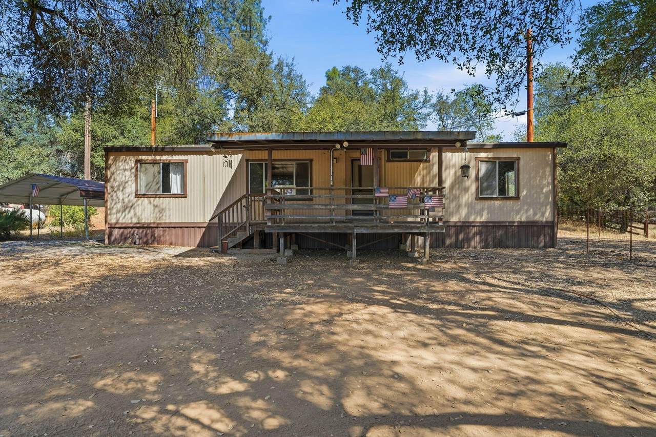 11961 Cedar Tree Lane - Photo 1