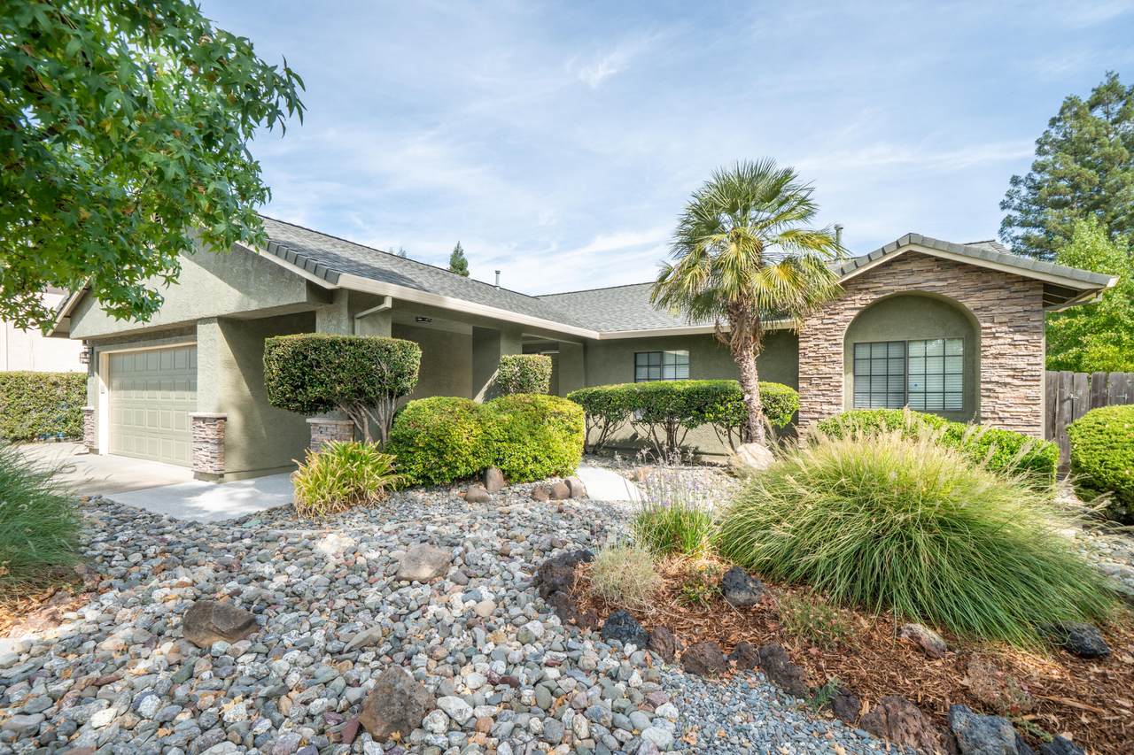 2238 Cilantro Drive - Photo 1