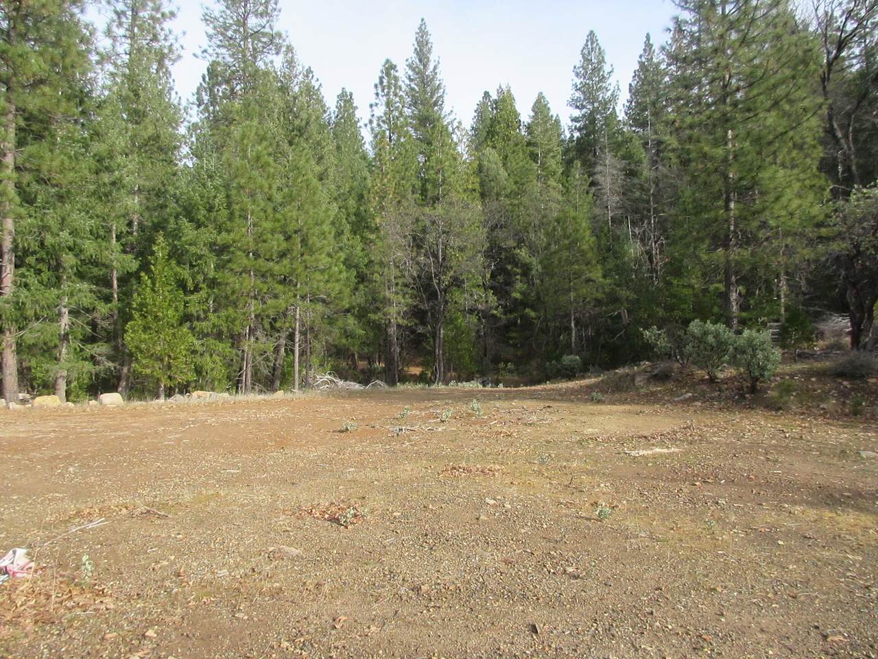 30425 Frontier Road - Photo 1