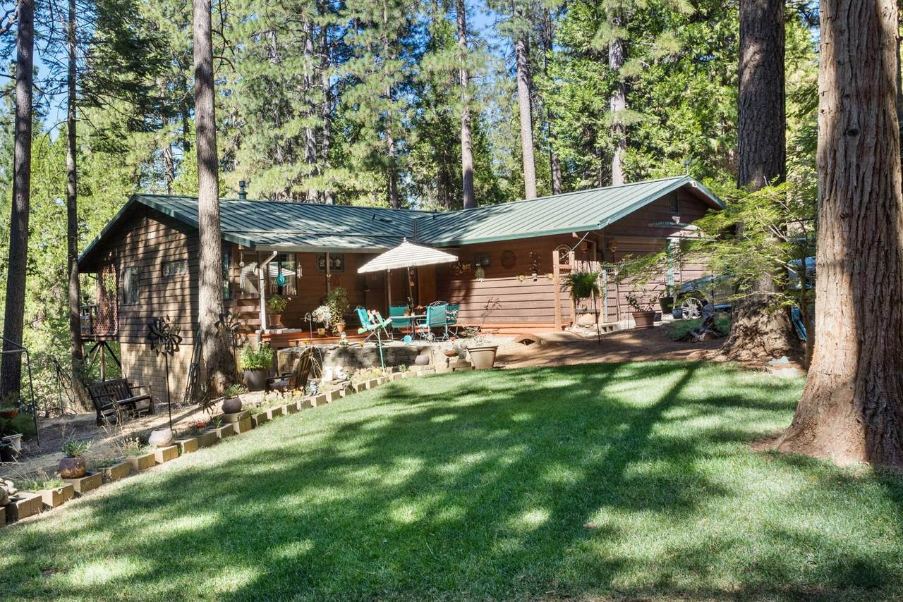 7472 Shasta Forest Drive - Photo 1