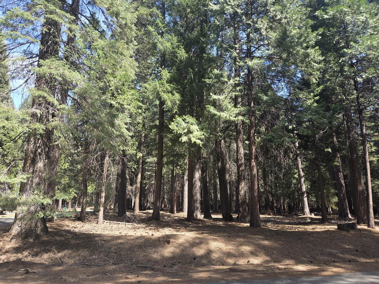 https://bt-photos.global.ssl.fastly.net/shasta/1280_boomver_1_26-4246-2.jpg