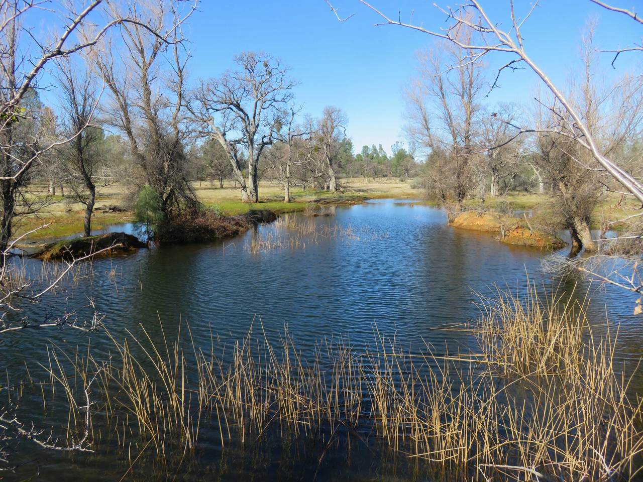 41 acres Ash Creek Road - Photo 1