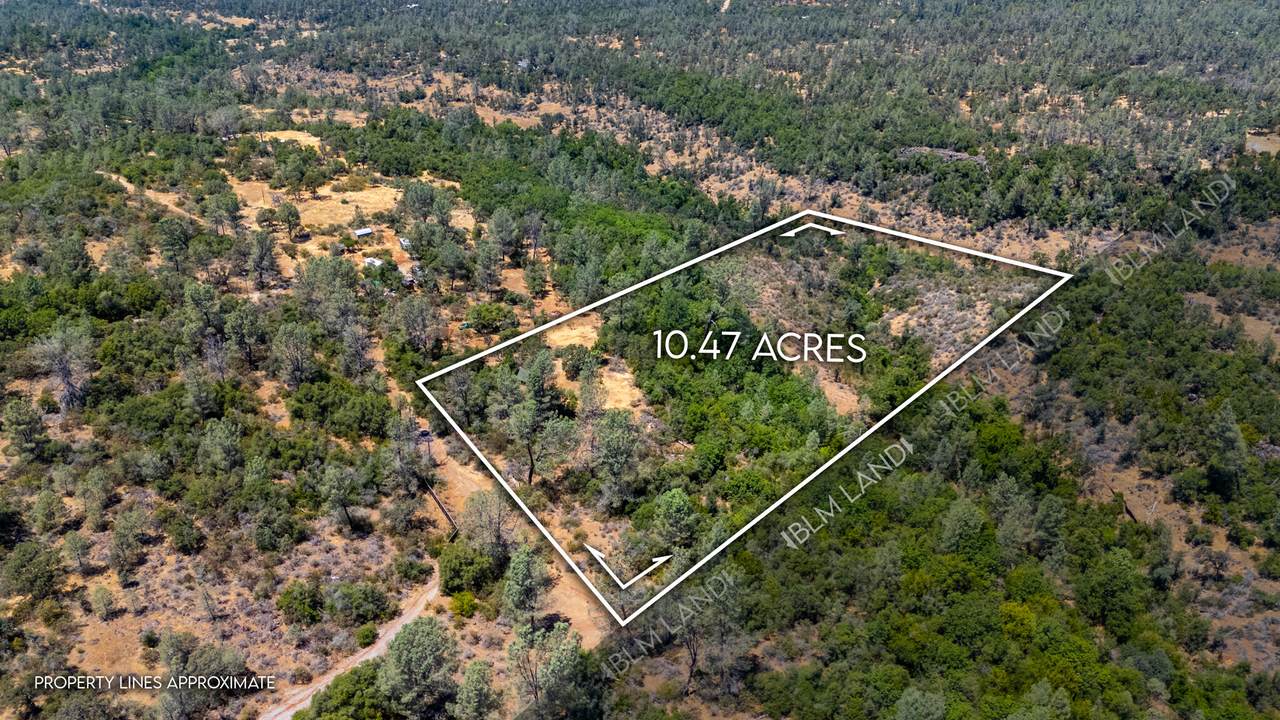 27010 Lack Creek Drive - Photo 1