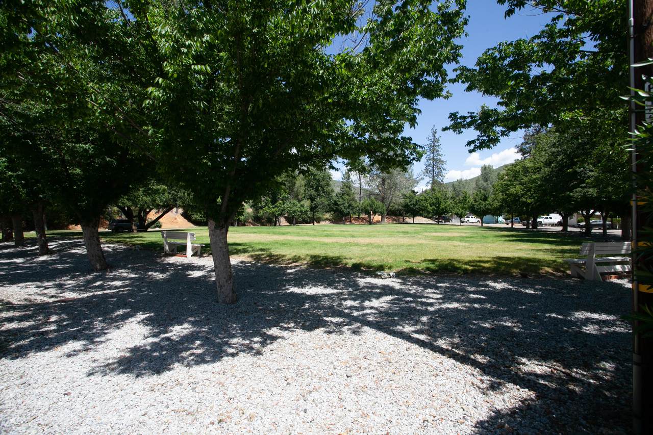 13905 Trinity Mountain Road - Photo 1