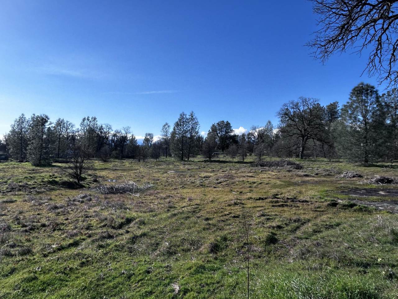 0000 Witch Way - Photo 1