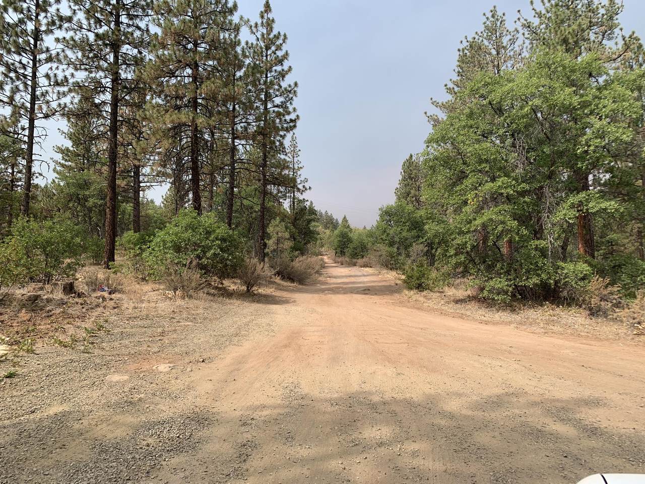 https://bt-photos.global.ssl.fastly.net/shasta/1280_boomver_1_26-4569-2.jpg