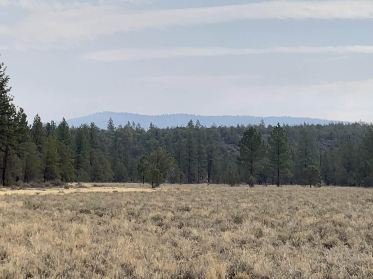 https://bt-photos.global.ssl.fastly.net/shasta/1280_boomver_1_26-4569-2.jpg