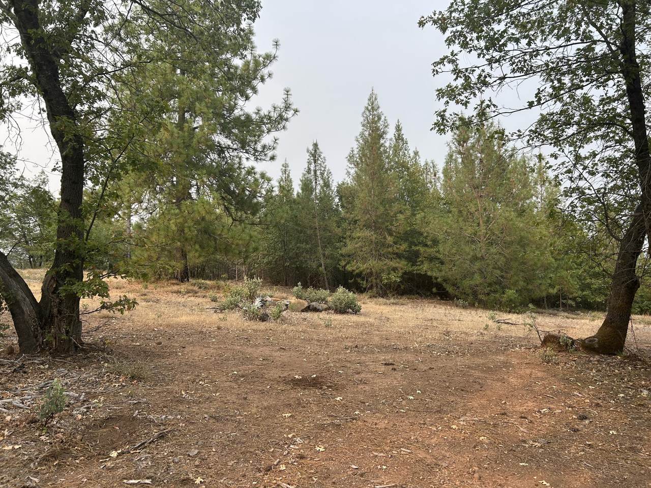  Sugar Pine Camp Road - Photo 1