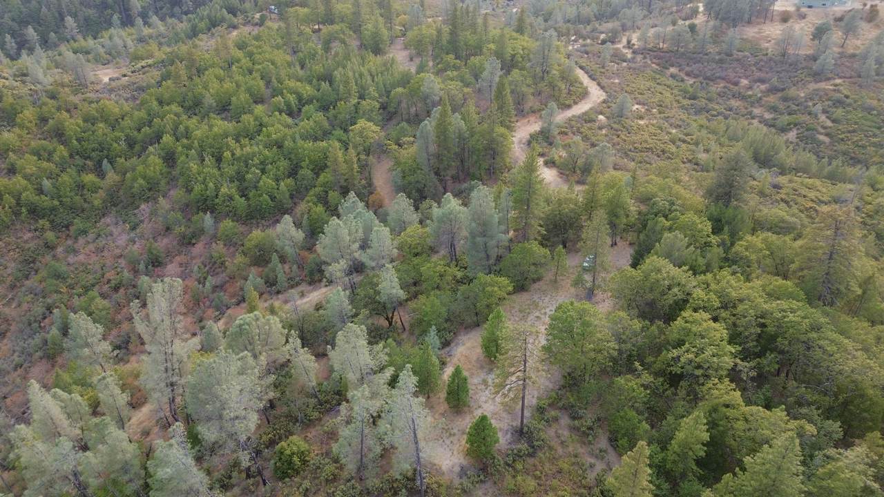 000 Sugar Pine Camp Road - Photo 1