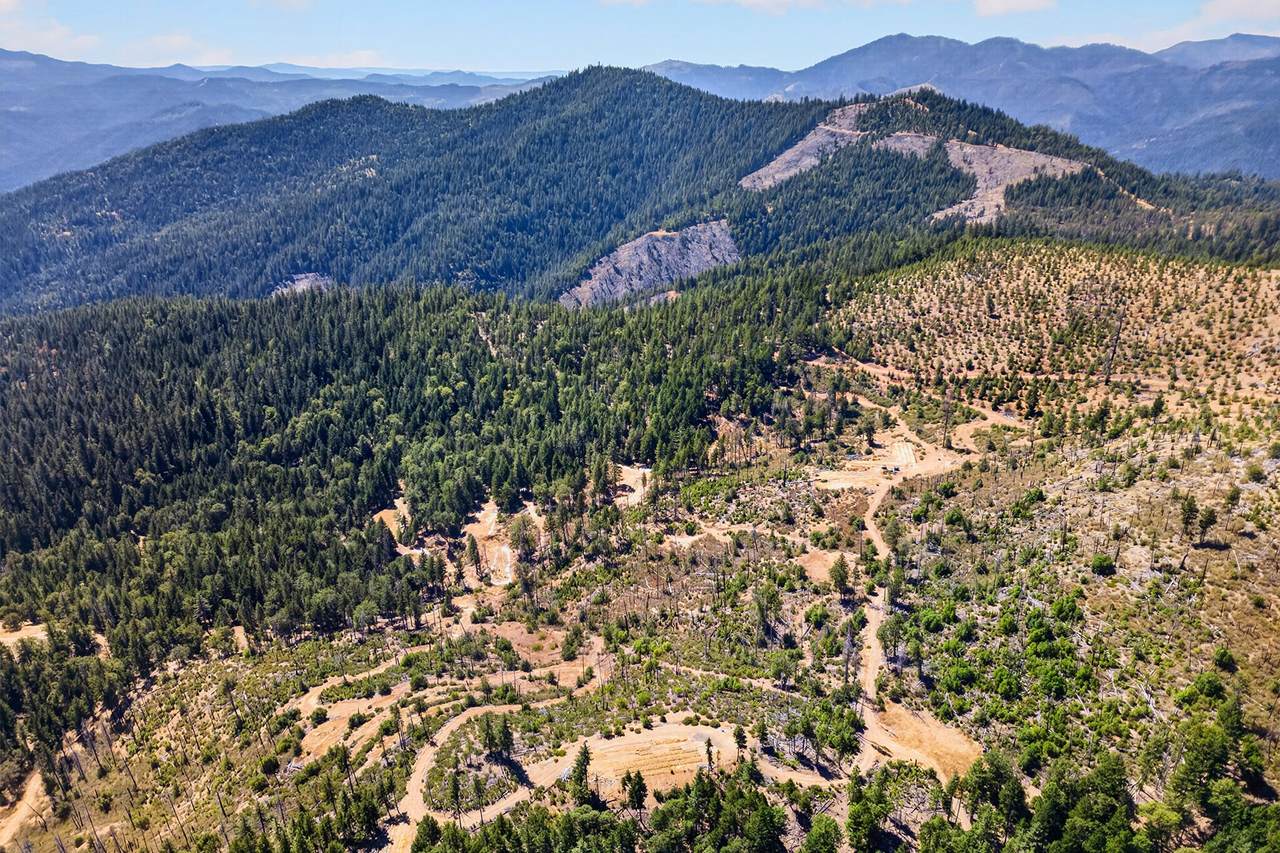 1120 Upper Democrat Gulch Road - Photo 1