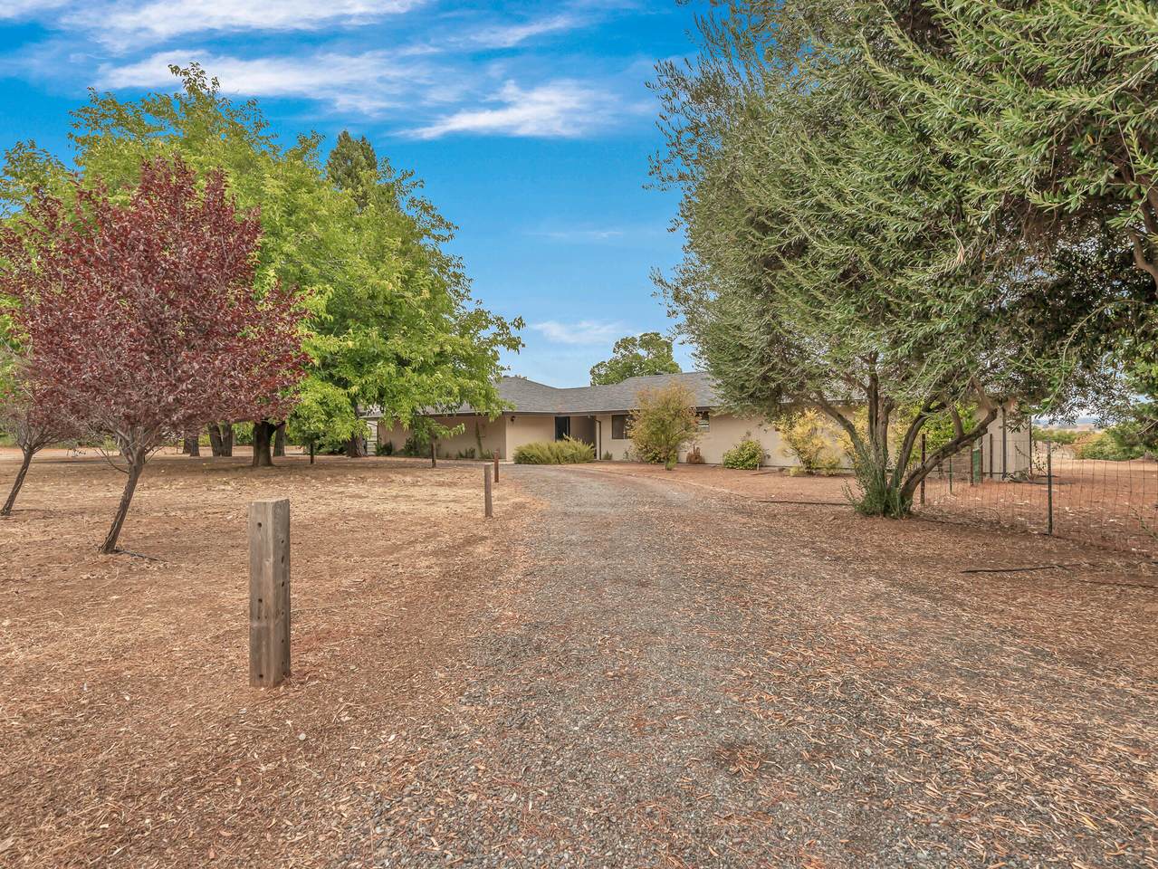 6905 Scotview Lane - Photo 1