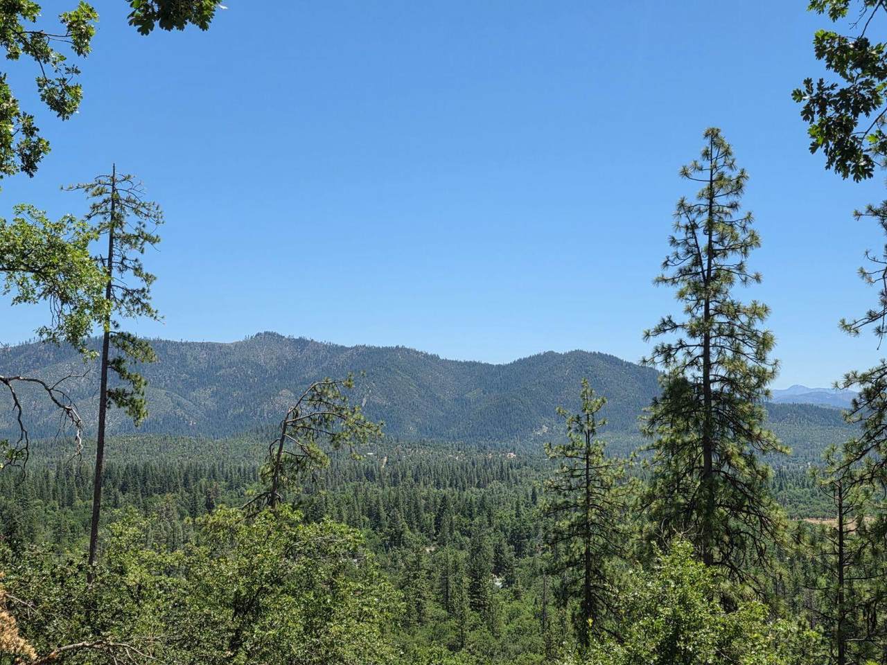 https://bt-photos.global.ssl.fastly.net/shasta/1280_boomver_1_26-4762-2.jpg