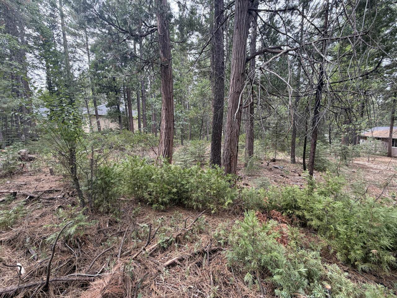 Timber Hill Drive - Photo 1