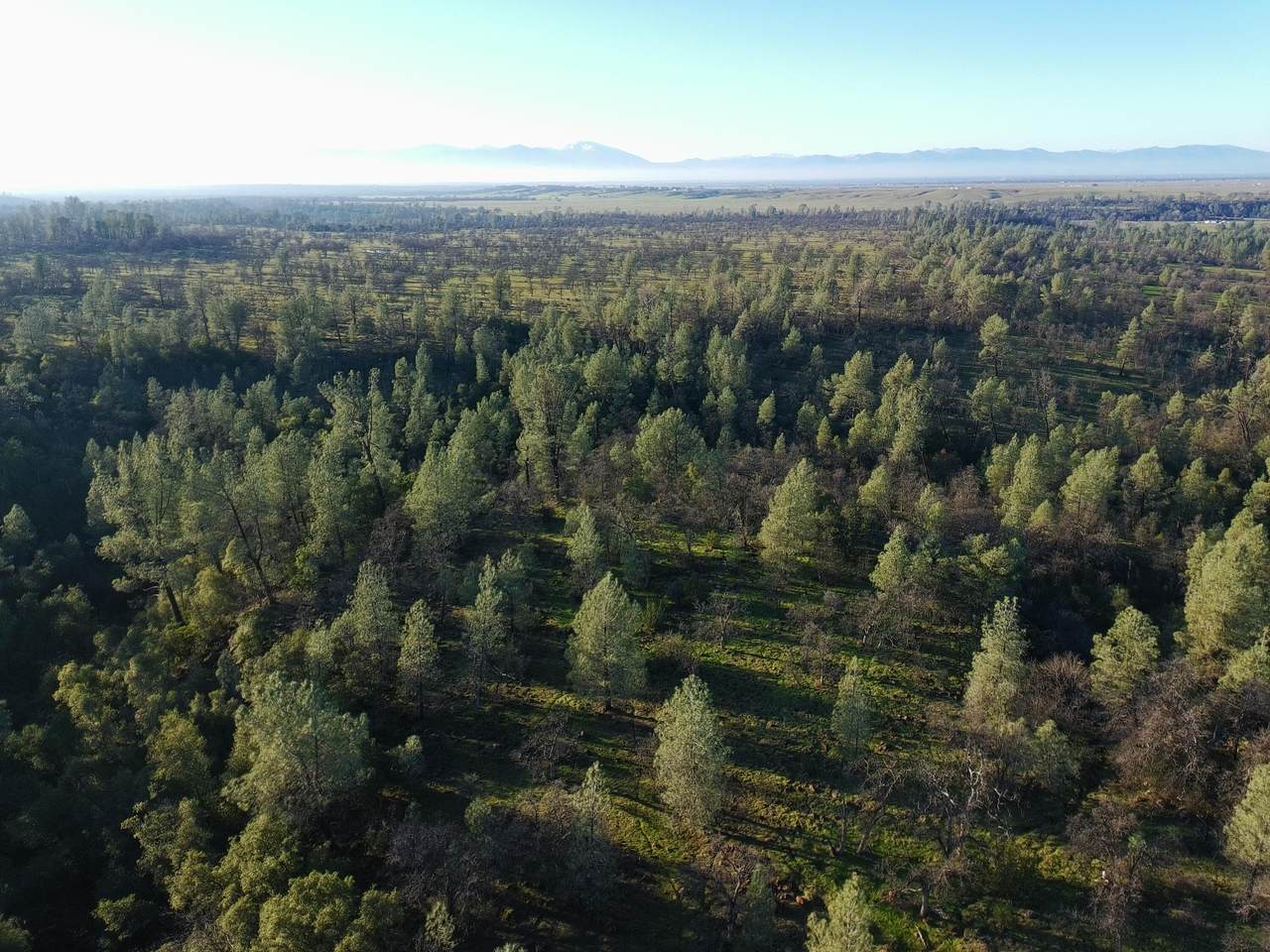  Buffalo Drive - Photo 1