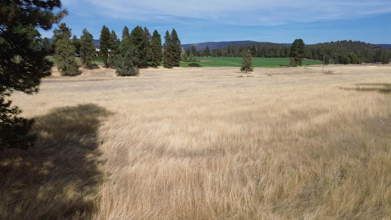 https://bt-photos.global.ssl.fastly.net/shasta/1280_boomver_1_26-5304-2.jpg