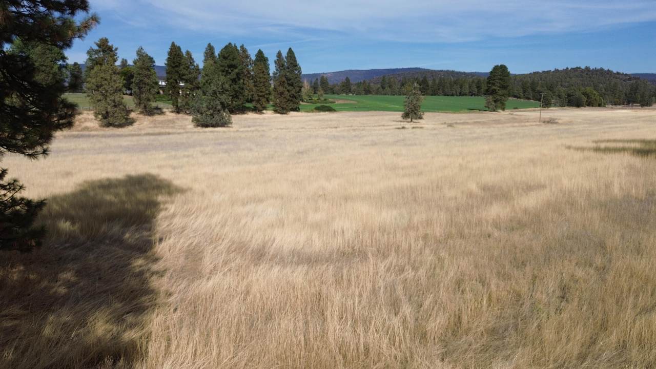 https://bt-photos.global.ssl.fastly.net/shasta/1280_boomver_1_26-5304-2.jpg