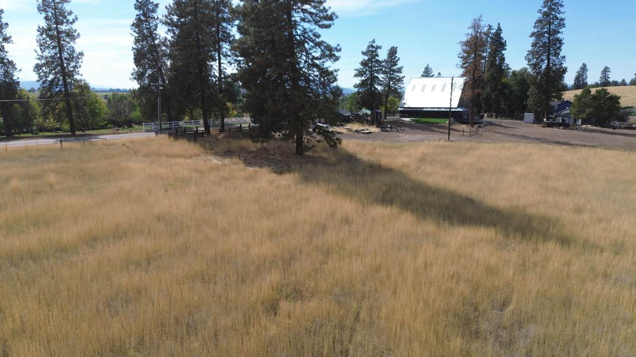 https://bt-photos.global.ssl.fastly.net/shasta/1280_boomver_1_26-5304-2.jpg