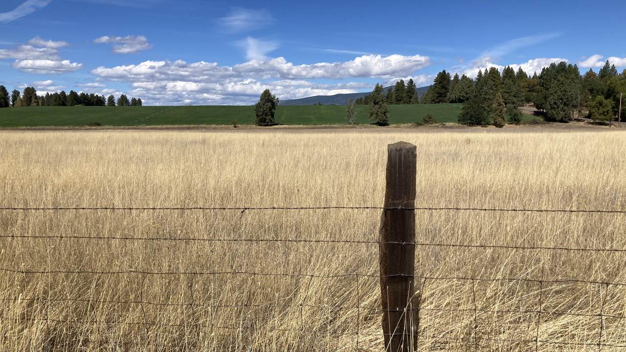 https://bt-photos.global.ssl.fastly.net/shasta/1280_boomver_1_26-5384-2.jpg