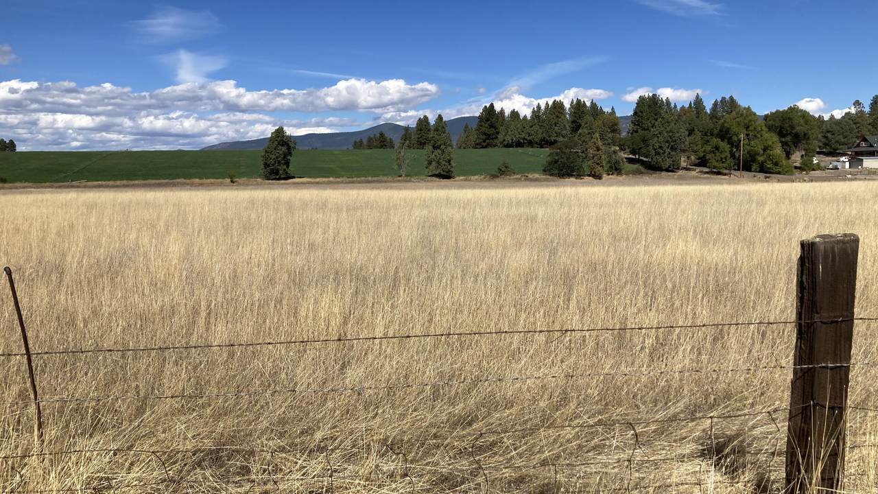 https://bt-photos.global.ssl.fastly.net/shasta/1280_boomver_1_26-5384-2.jpg