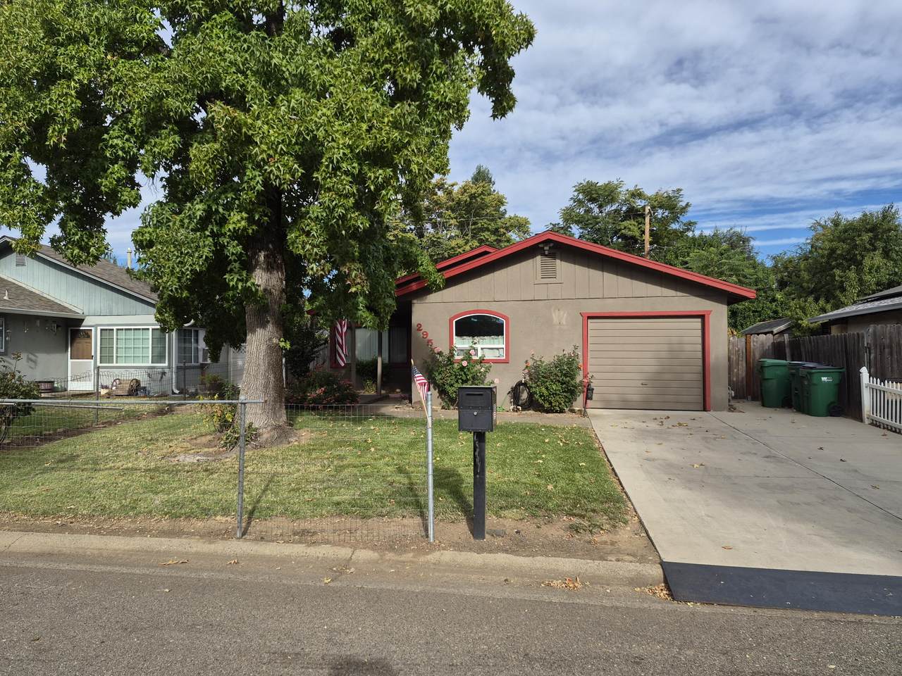 2950 Palomino Street - Photo 1