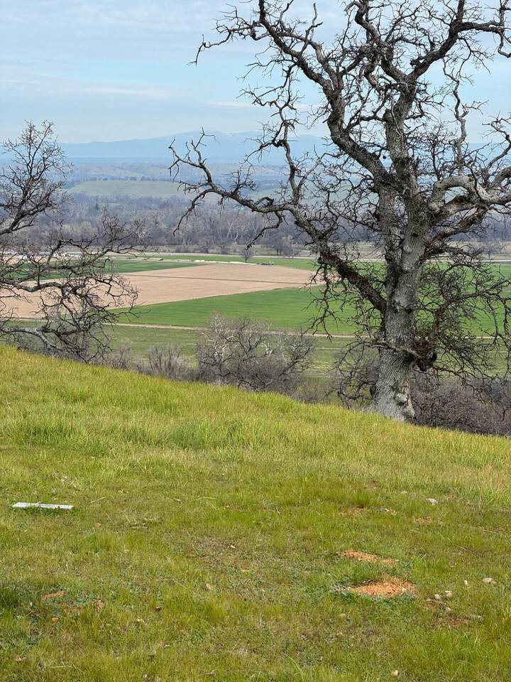 22680 River View Drive - Photo 1