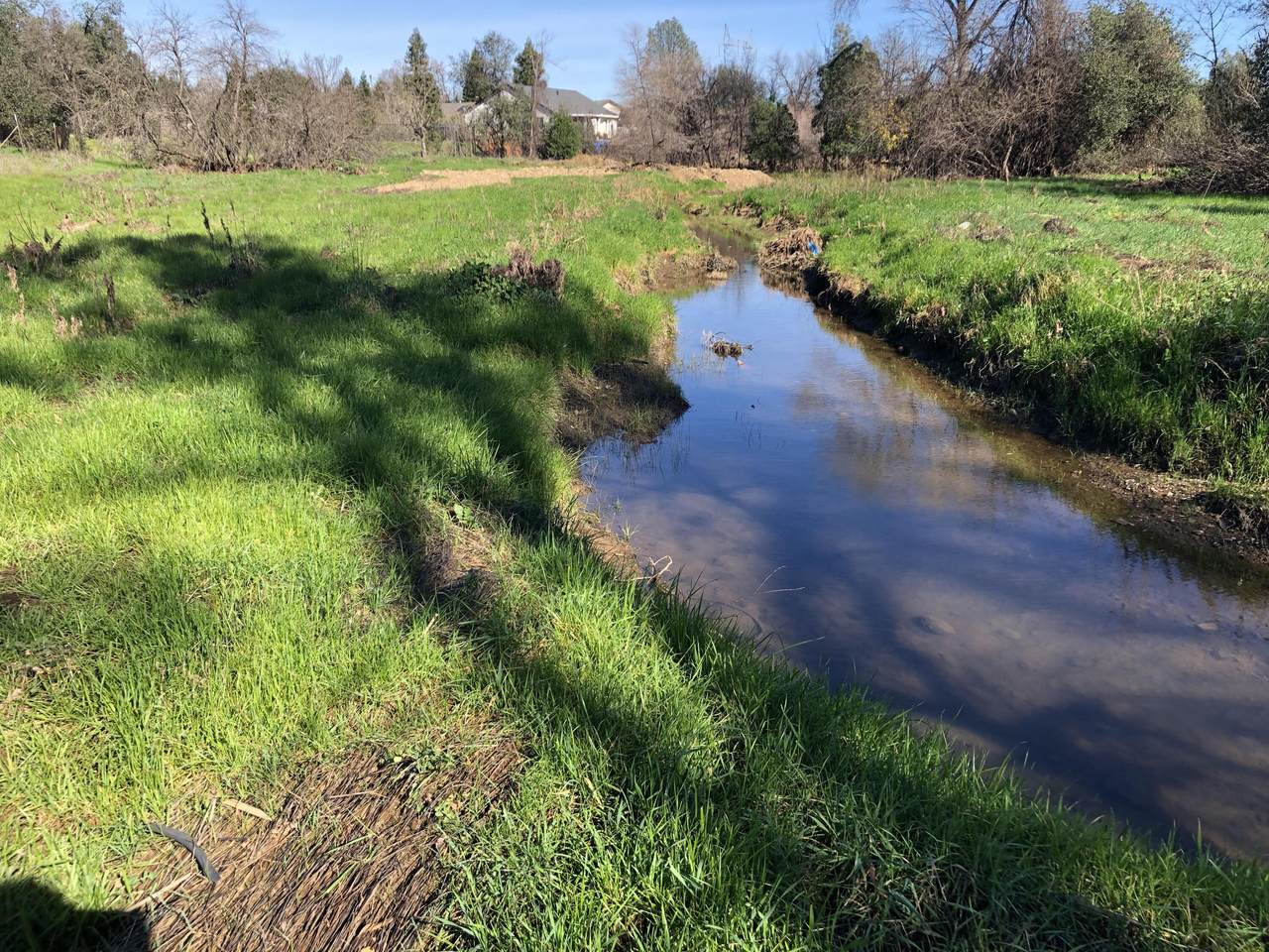 1513 Harpole Road - Photo 1