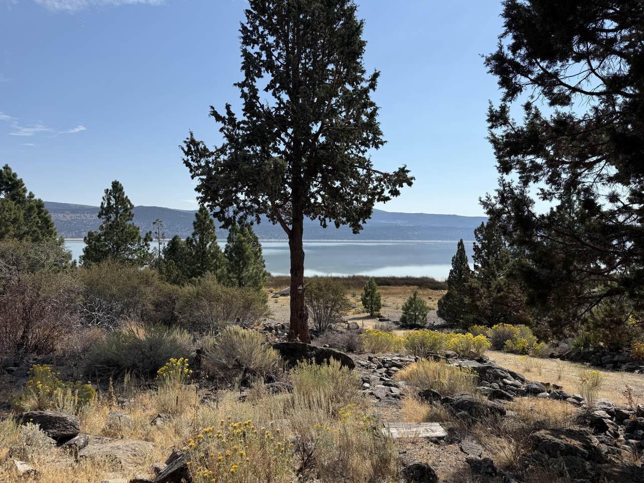https://bt-photos.global.ssl.fastly.net/shasta/1280_boomver_1_26-5522-2.jpg