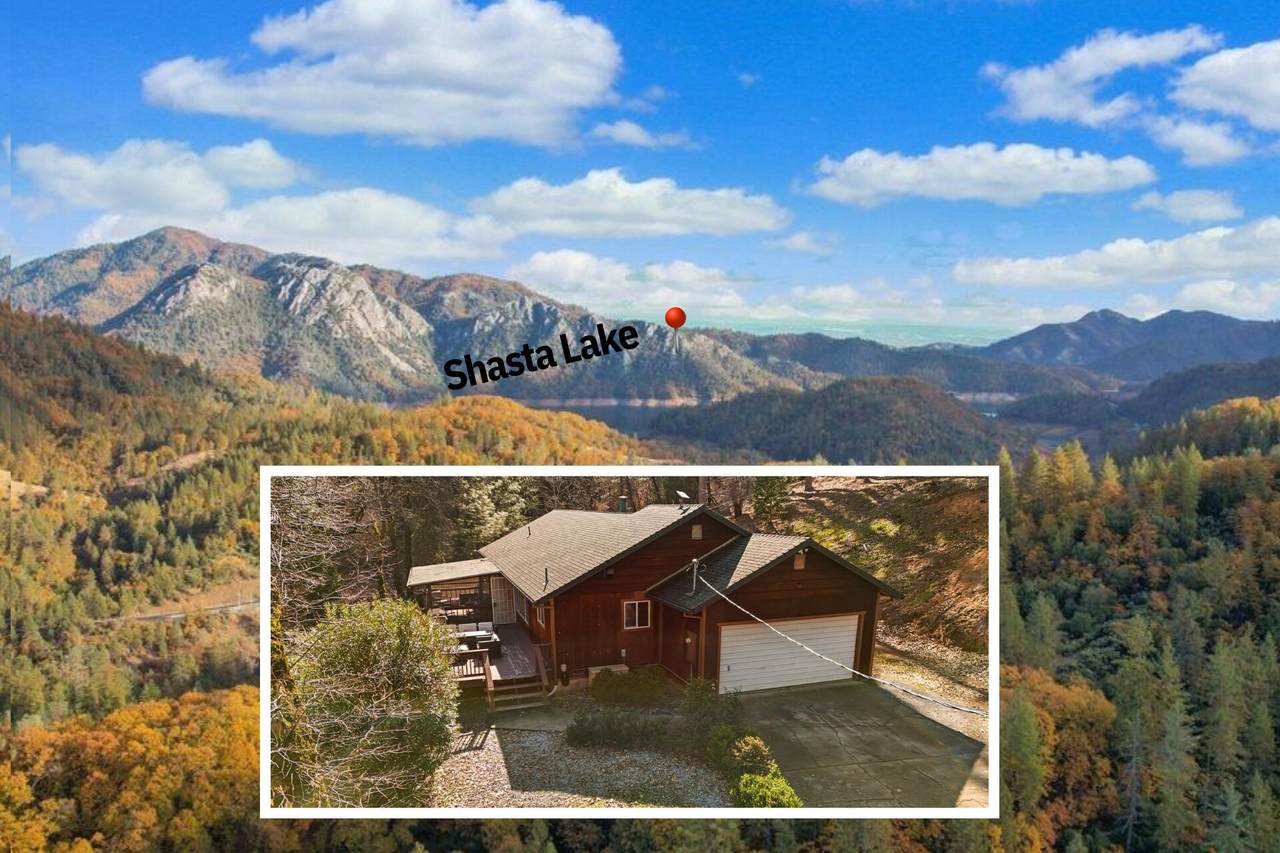 18260 Racoon Drive - Photo 1