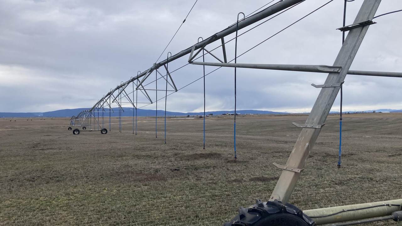 667-875 Highway 299 E - Photo 1