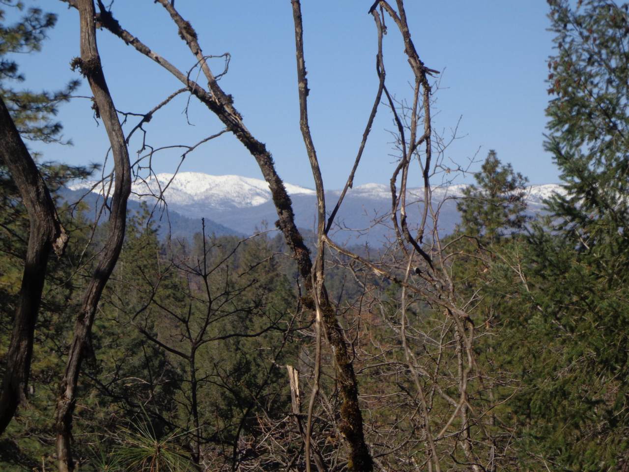 https://bt-photos.global.ssl.fastly.net/shasta/1280_boomver_1_26-625-2.jpg