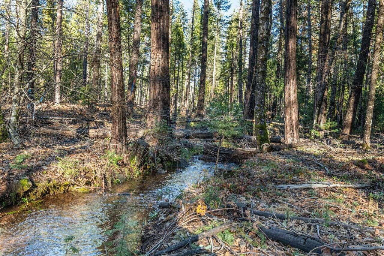  Montgomery Road - Photo 1