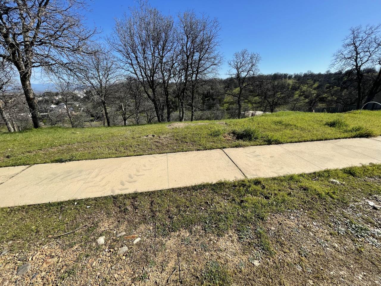 20283 Domaine Place - Photo 1