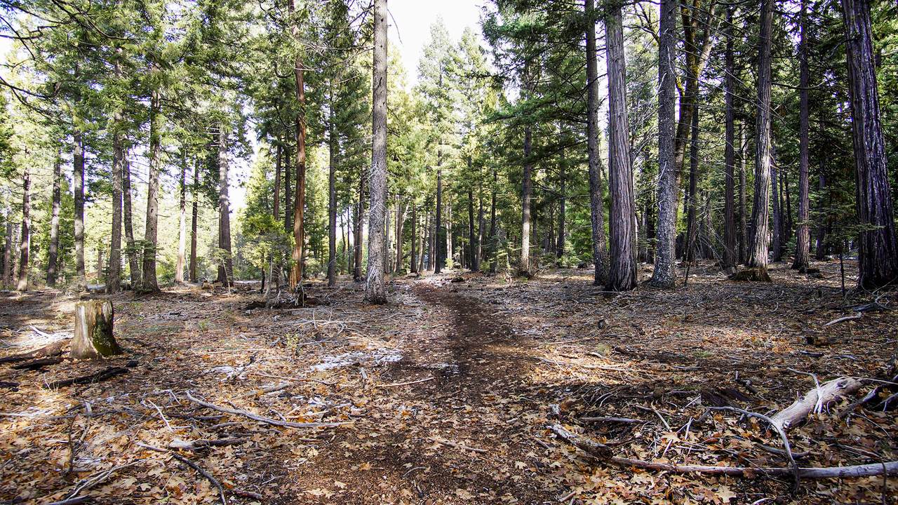 003 Ritts Mill Road - Photo 1