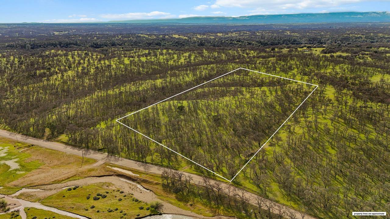  Mccoy Road - Photo 1