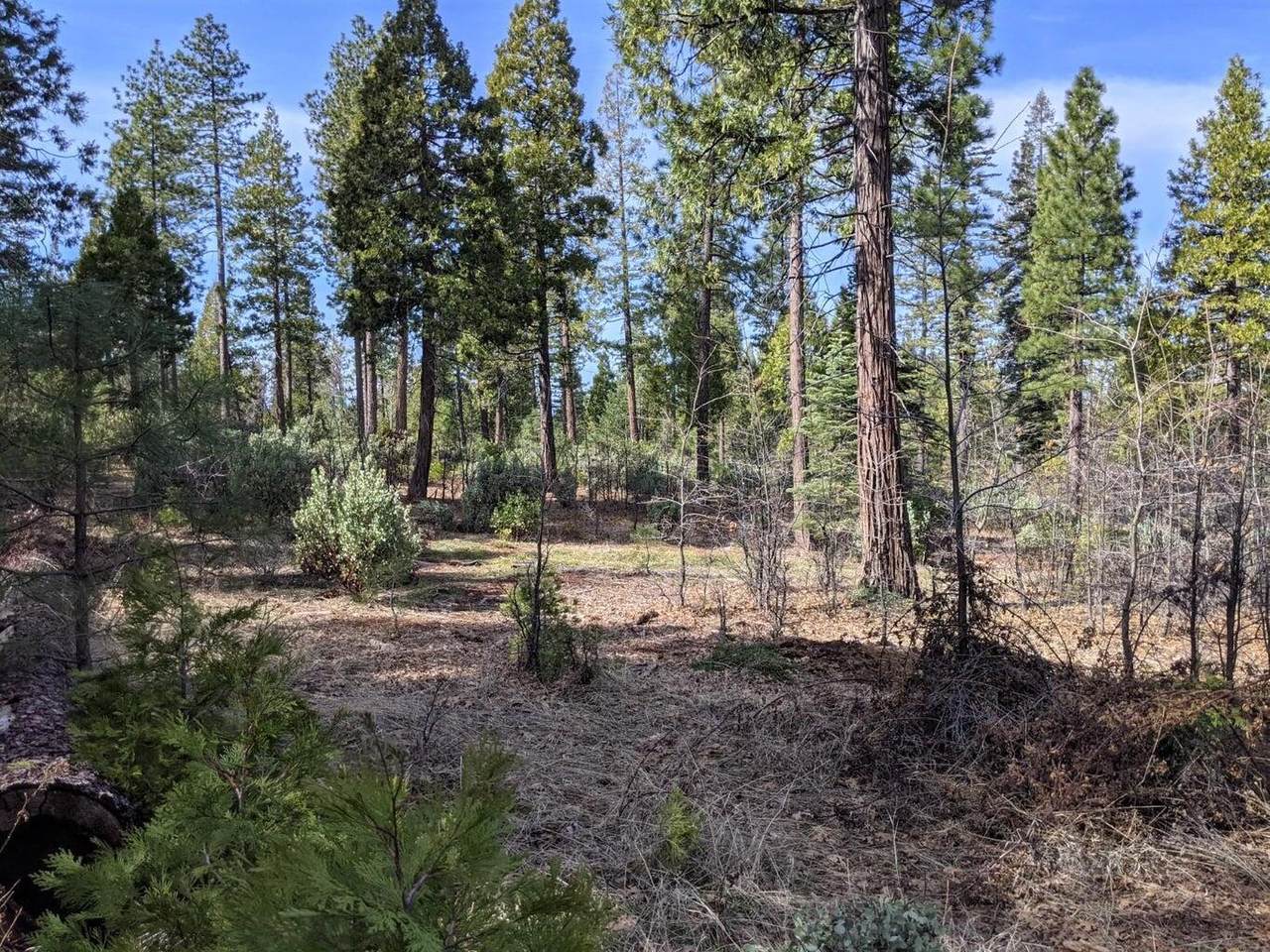 Lot 5 Waterleaf Lane - Photo 1