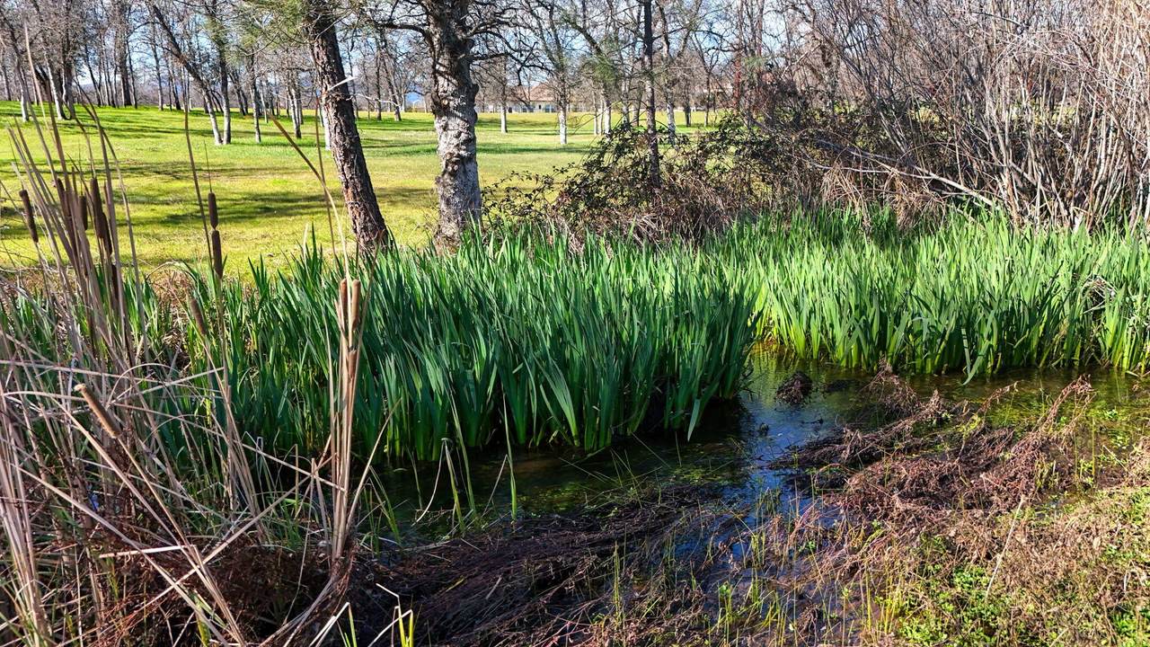 13231 Alicia Parkway - Photo 1