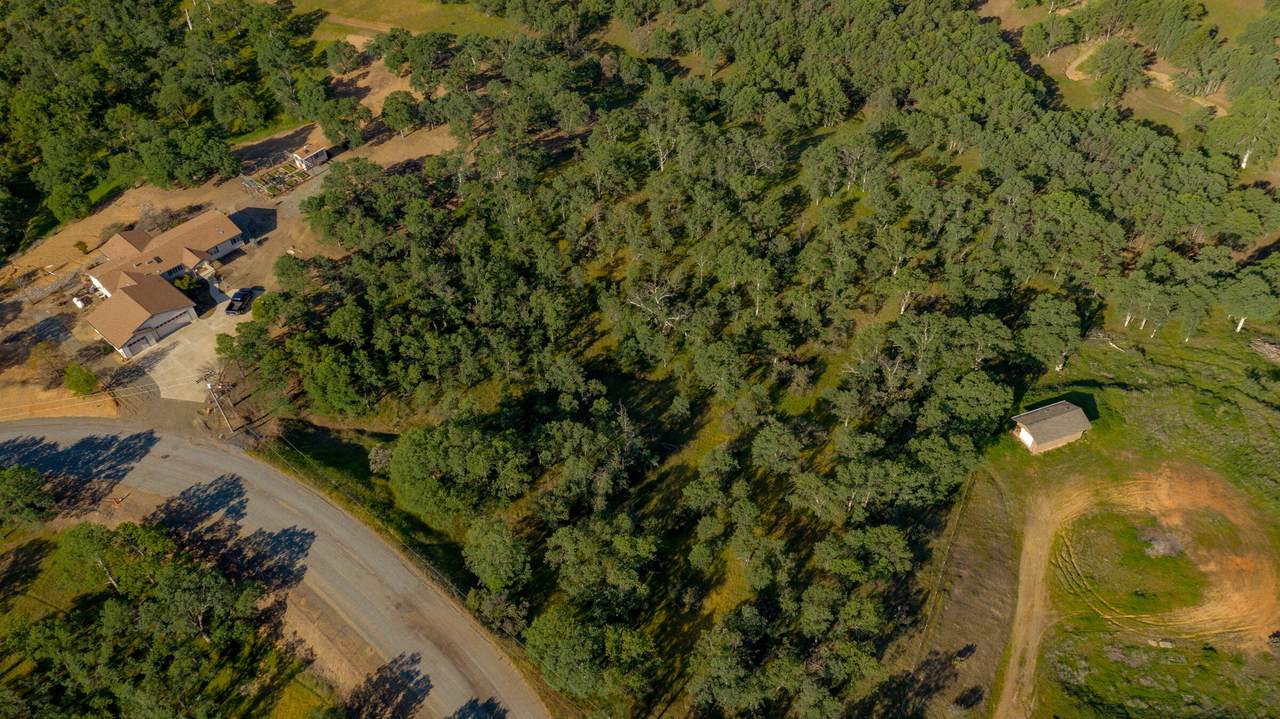 18623 Saddleback Ridge Loop - Photo 1