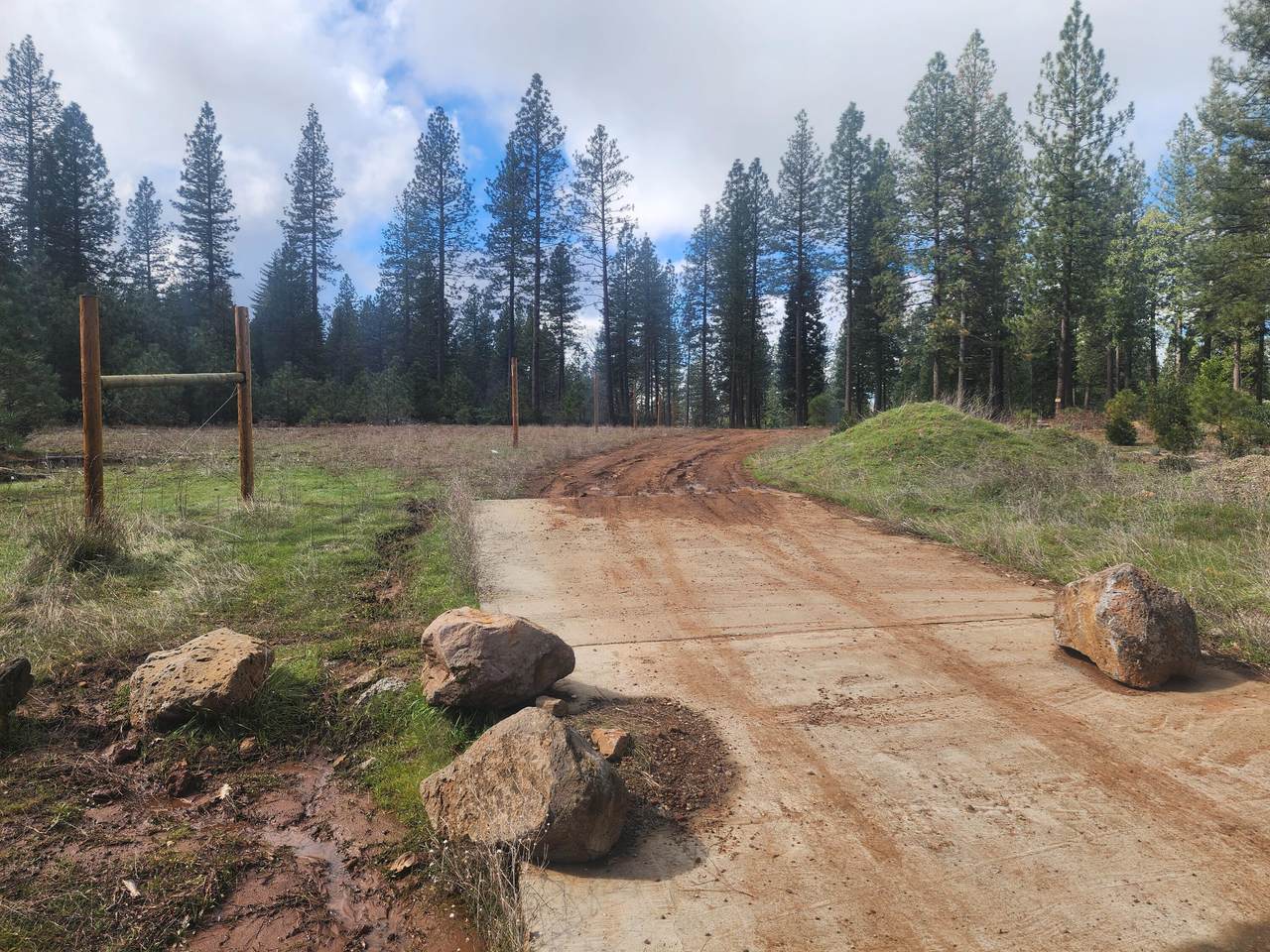  Waterleaf Lane - Photo 1