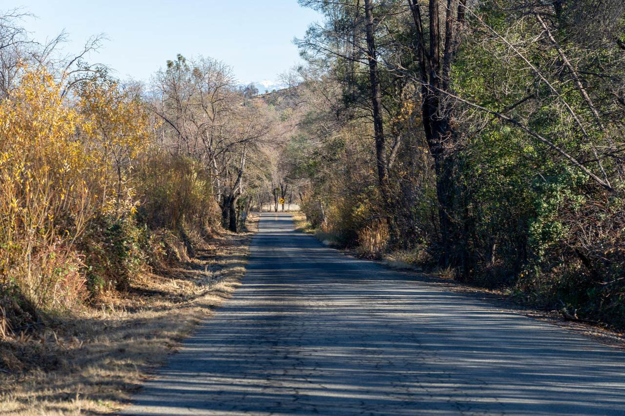 9977 Rainbow Lake Road - Photo 1