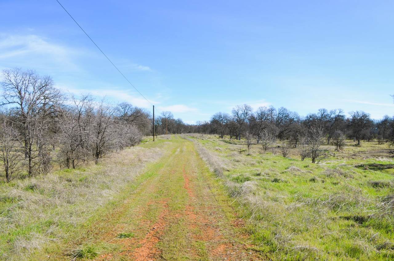 18450 April Island Way - Photo 1