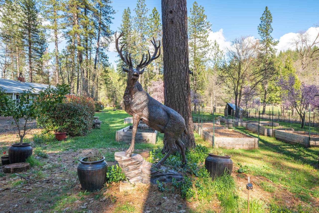 https://bt-photos.global.ssl.fastly.net/shasta/1280_boomver_1_26-926-2.jpg